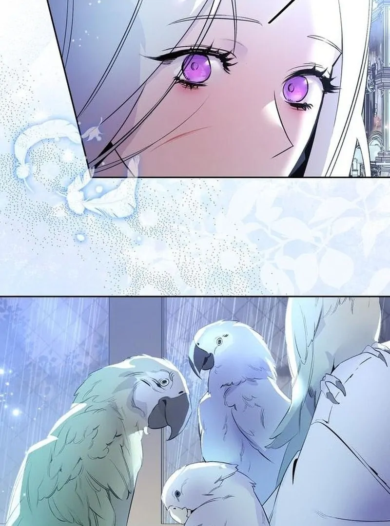 The Dark Duke's Pet Bird Chapter 2 page 20