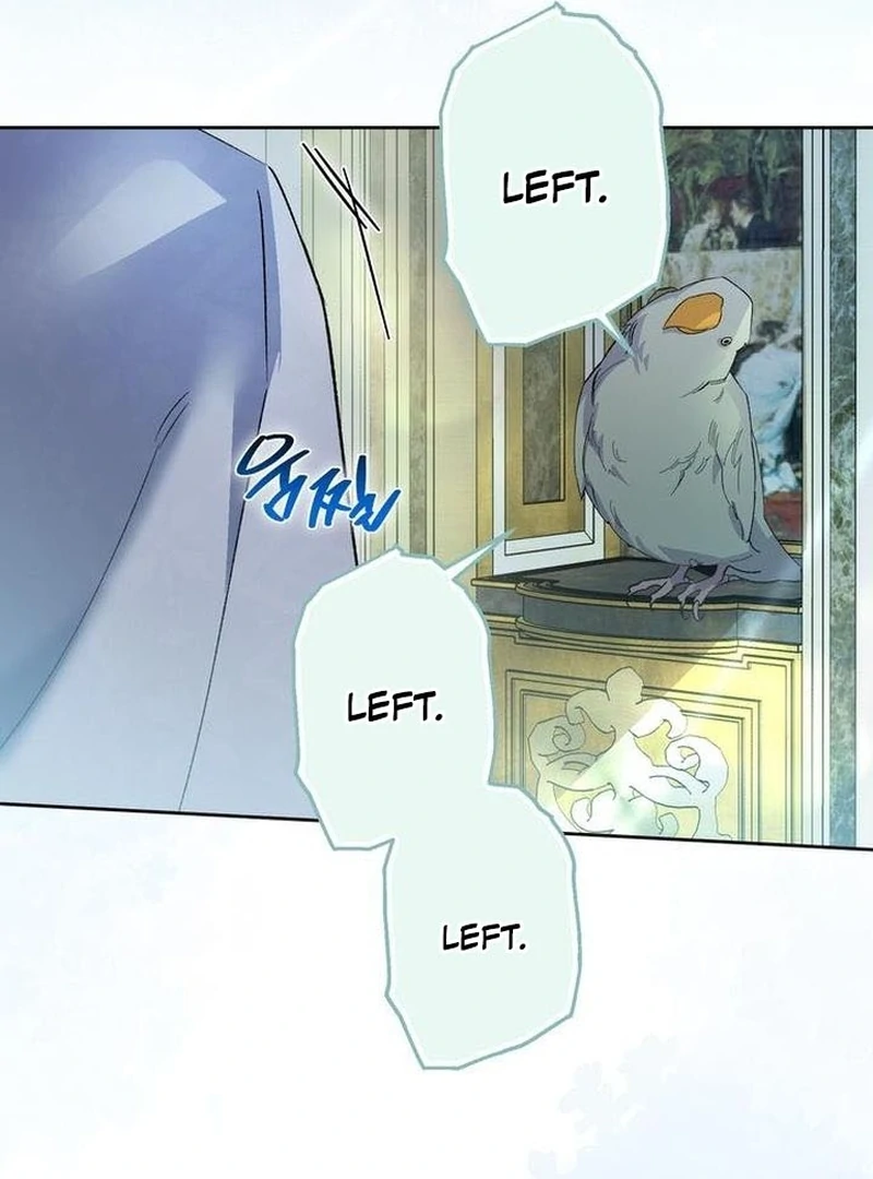 The Dark Duke's Pet Bird Chapter 2 page 100