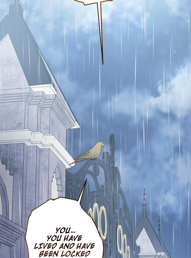 The Dark Duke's Pet Bird Chapter 20 page 51