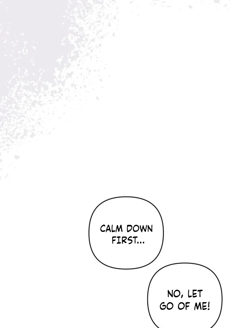 The Dark Duke's Pet Bird Chapter 20 page 64