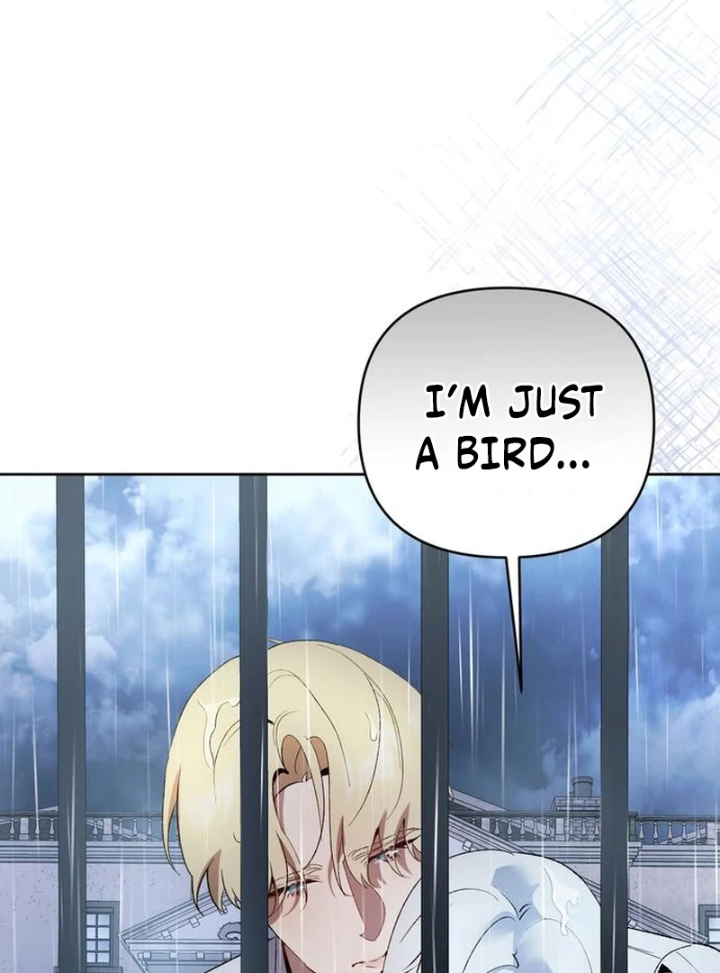 The Dark Duke's Pet Bird Chapter 20 page 70