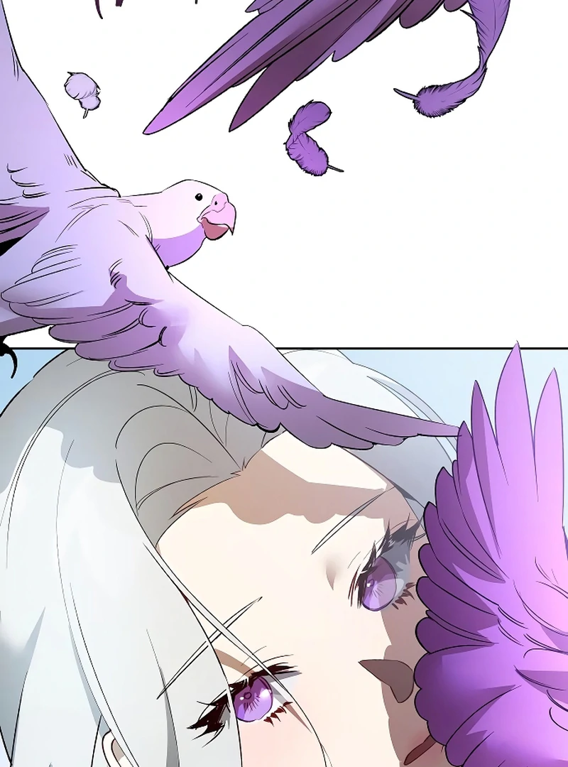 The Dark Duke's Pet Bird Chapter 21 page 48