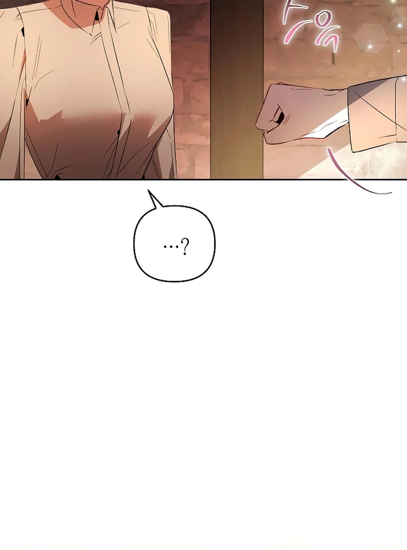 The Dark Duke's Pet Bird Chapter 22 page 94