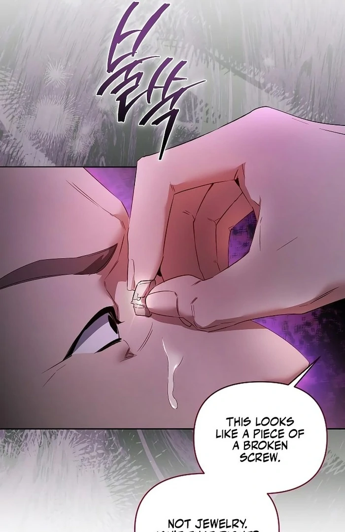 The Dark Duke's Pet Bird Chapter 24 page 10