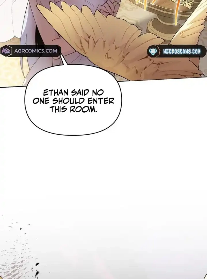 The Dark Duke's Pet Bird Chapter 5 page 63