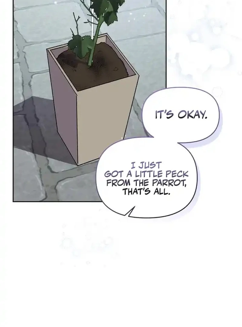 The Dark Duke's Pet Bird Chapter 5 page 71