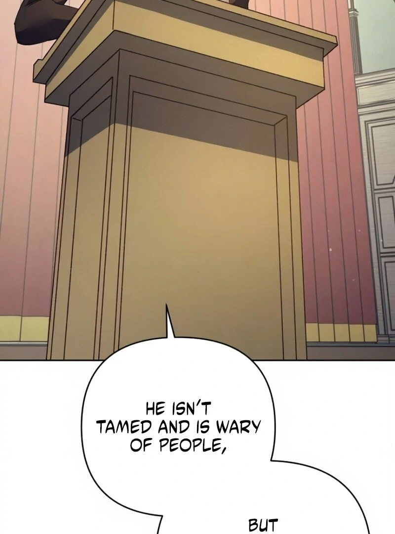 The Dark Duke's Pet Bird Chapter 50 page 5
