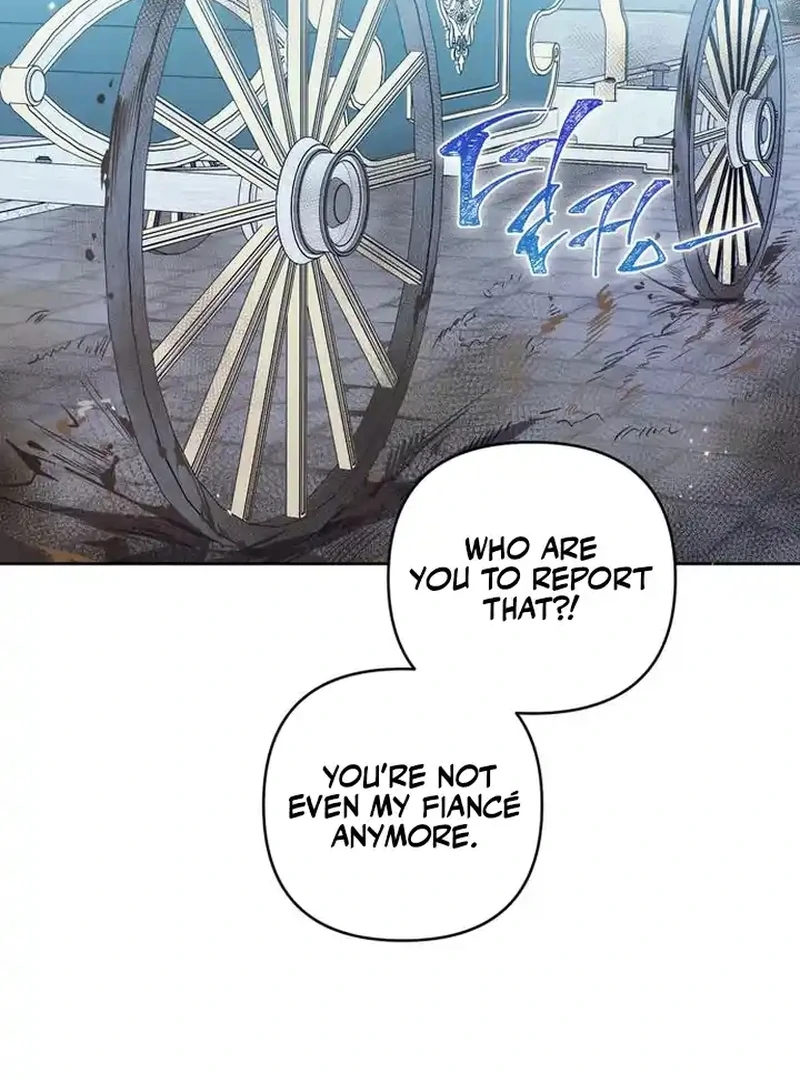 The Dark Duke's Pet Bird Chapter 6 page 17