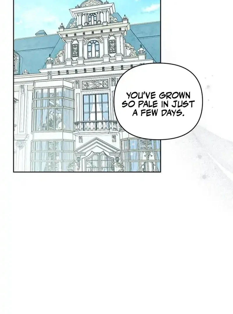 The Dark Duke's Pet Bird Chapter 6 page 70