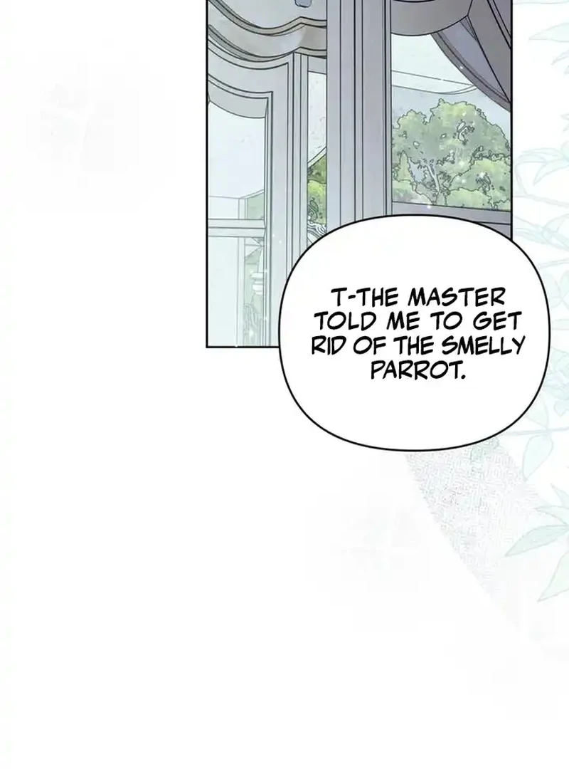 The Dark Duke's Pet Bird Chapter 6 page 105