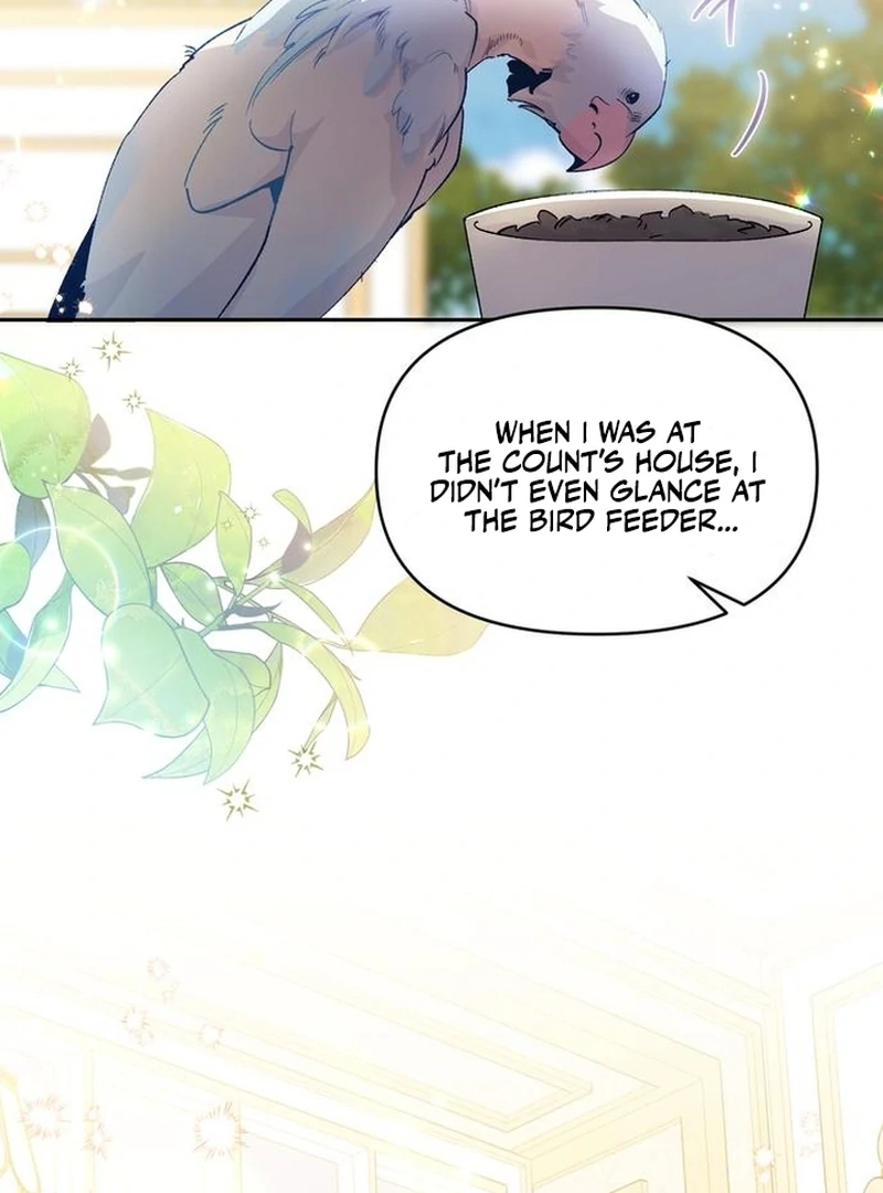 The Dark Duke's Pet Bird Chapter 7 page 2