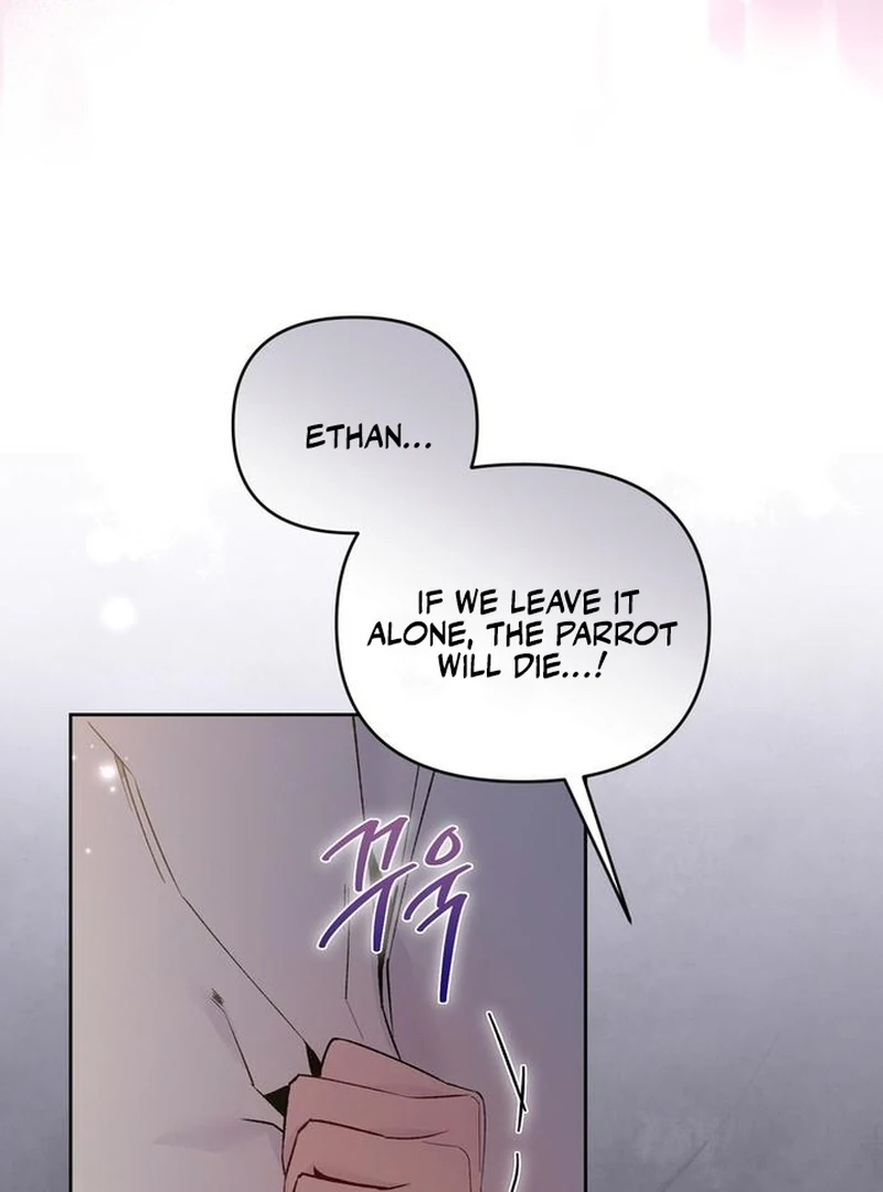 The Dark Duke's Pet Bird Chapter 7 page 45