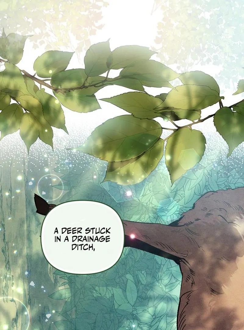 The Dark Duke's Pet Bird Chapter 7 page 62