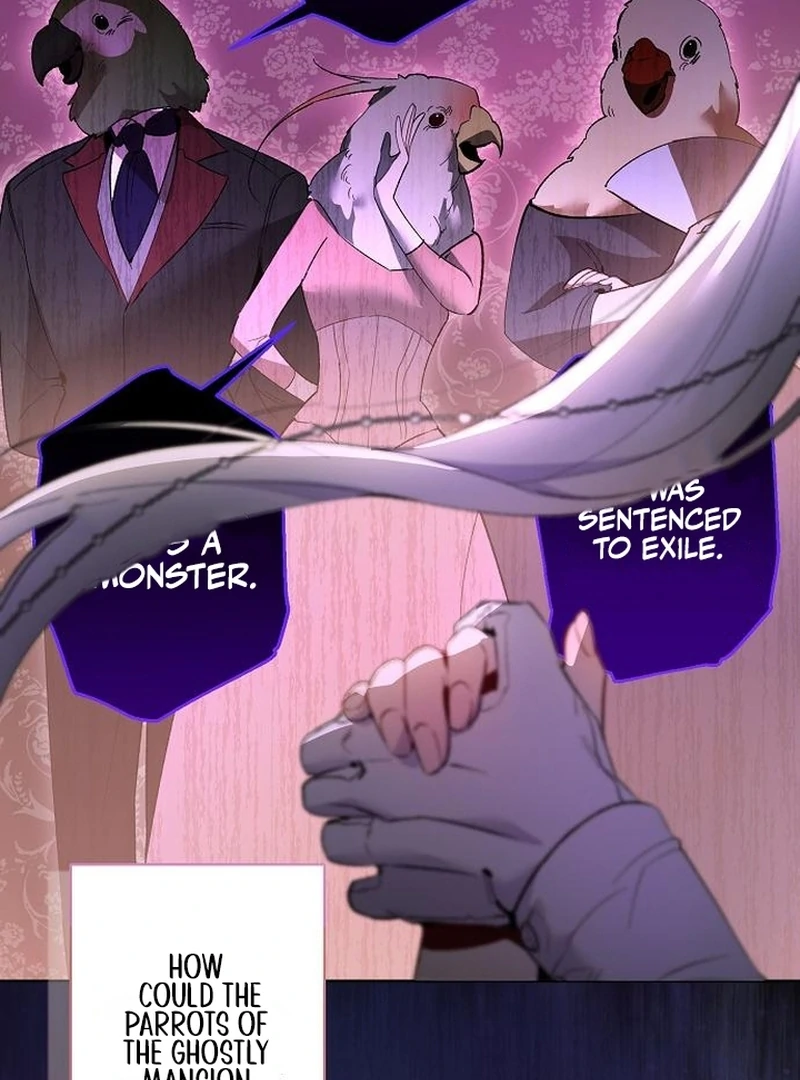 The Dark Duke's Pet Bird Chapter 8 page 80