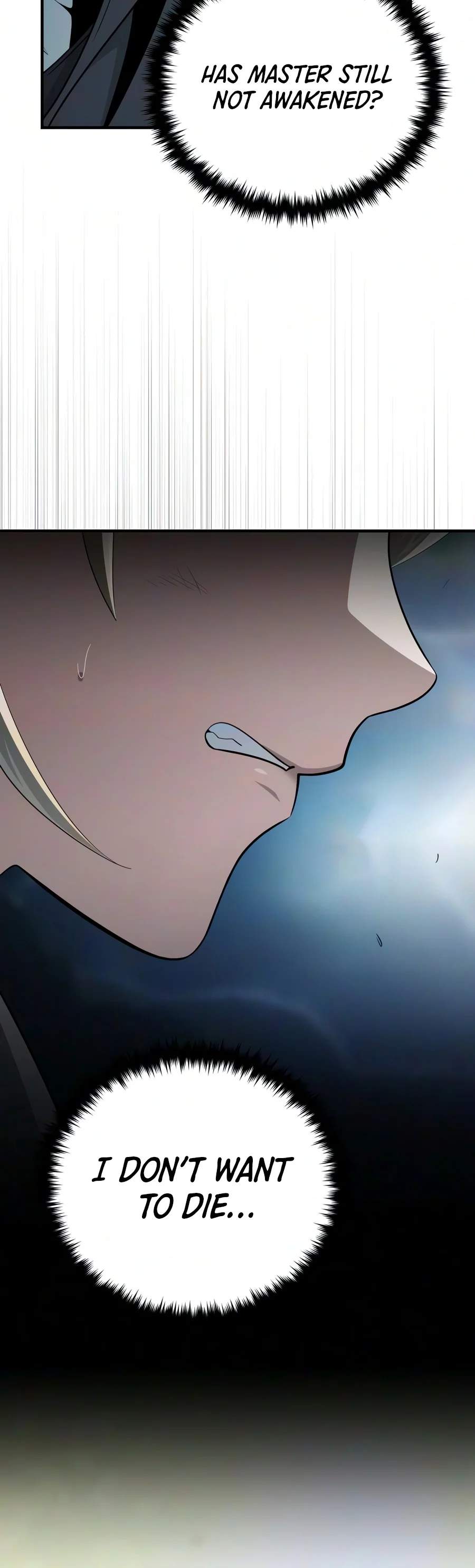The Dark Magician Transmigrates After 66666 Years Chapter 196 page 12