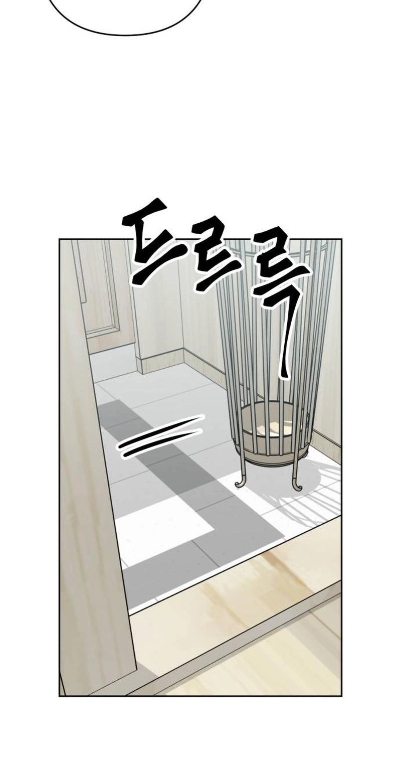 The Delinquent and the Gangster Heiress Chapter 53 page 63