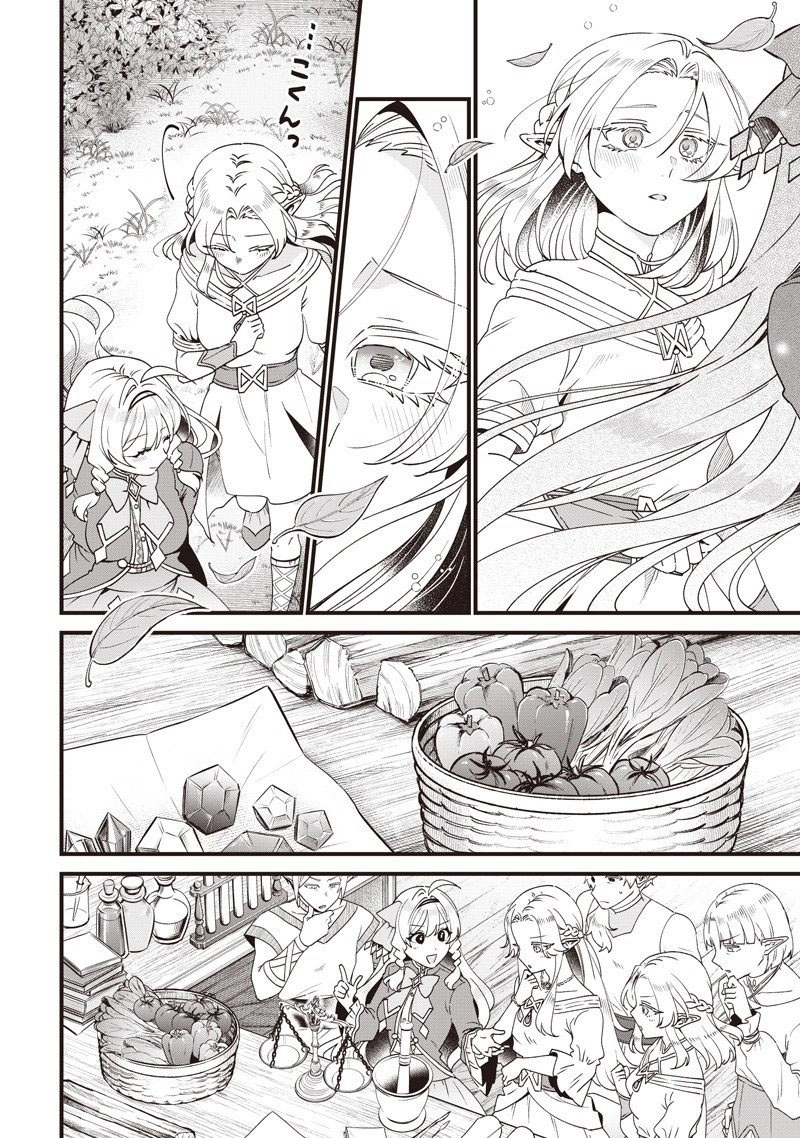 The Demoted Third Princess Begins the Frontier Reform!! Chapter 15 page 12