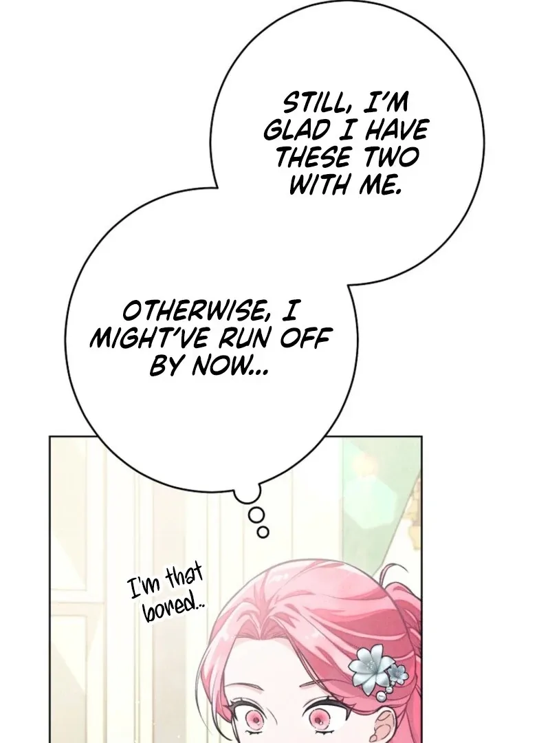 The Duke’s Wife Obsession Chapter 35 page 42