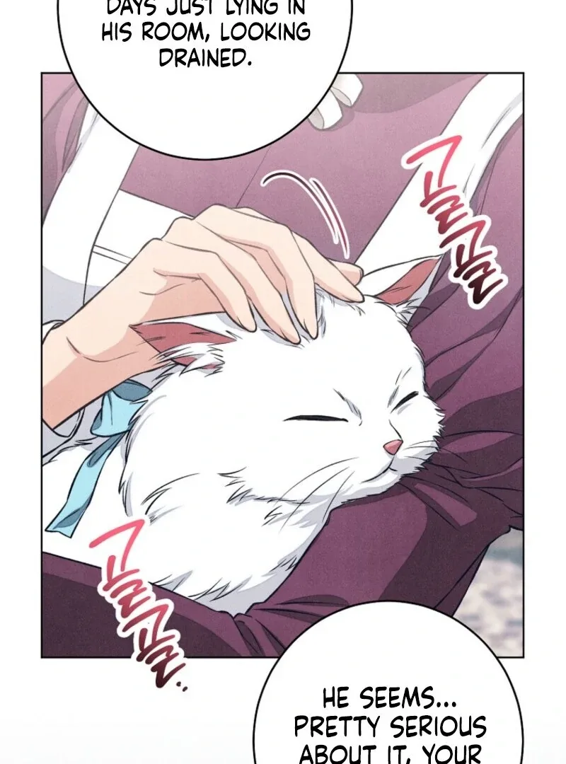 The Duke’s Wife Obsession Chapter 42 page 64