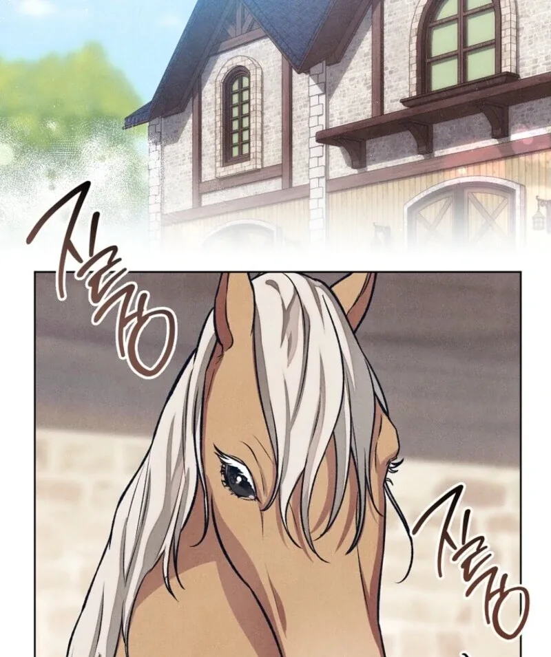 The Duke’s Wife Obsession Chapter 42 page 79