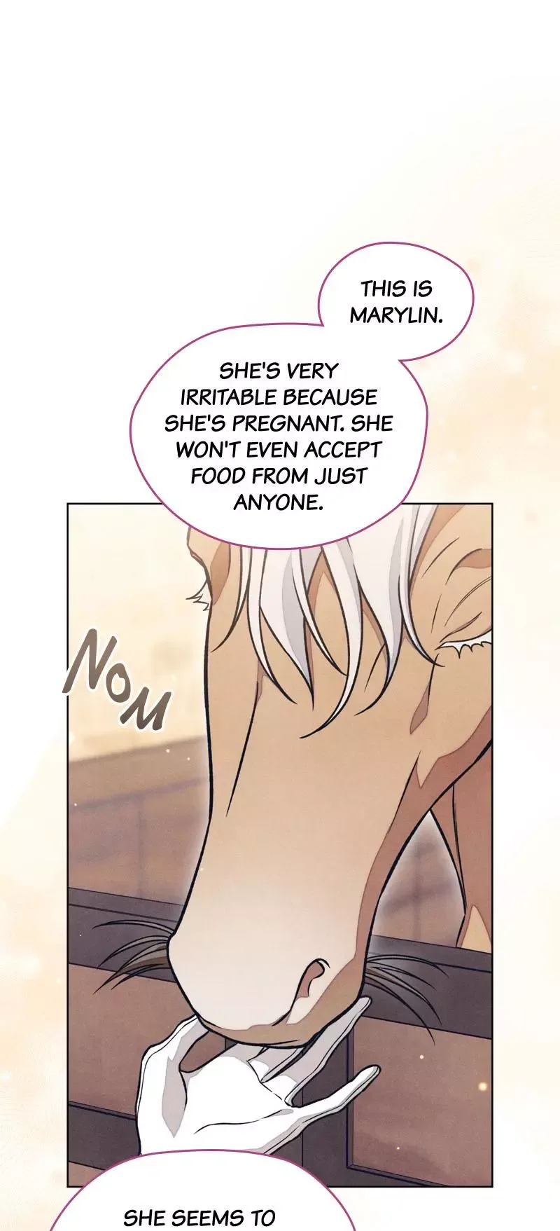 The Duke’s Wife Obsession Chapter 56 page 47