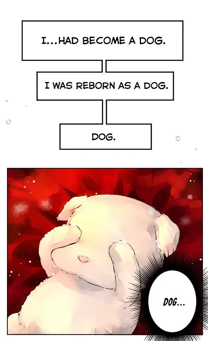 The Emperor's Dog Chapter 0 page 11