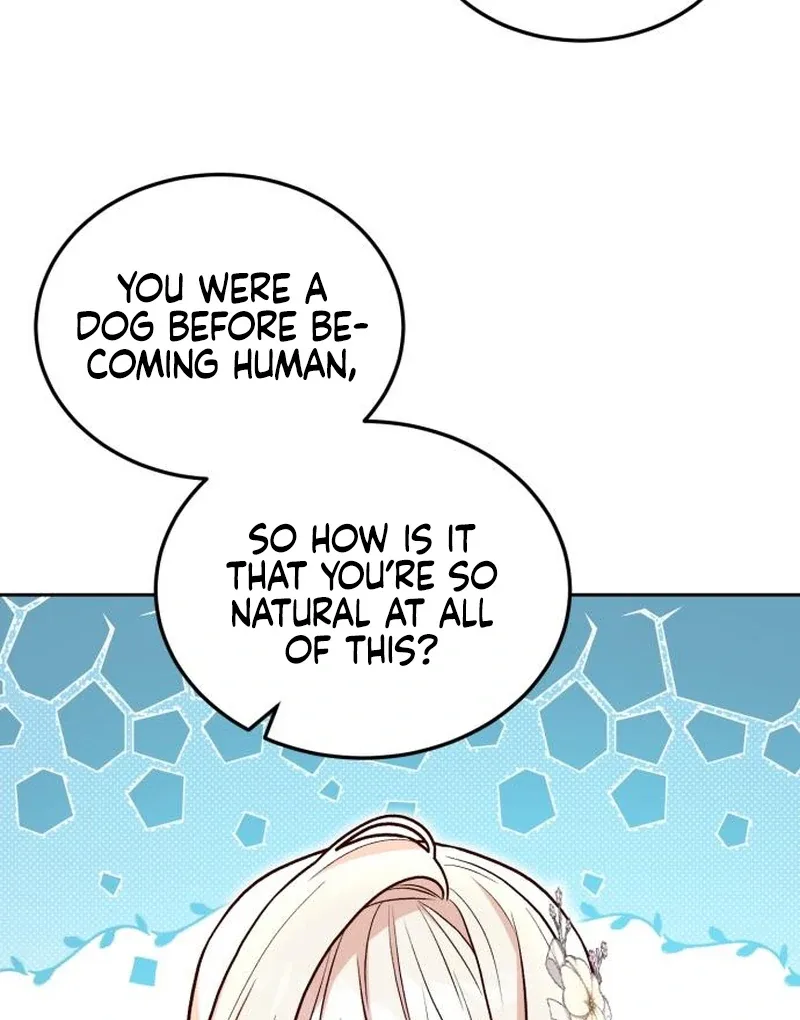 The Emperor's Dog Chapter 30 page 42