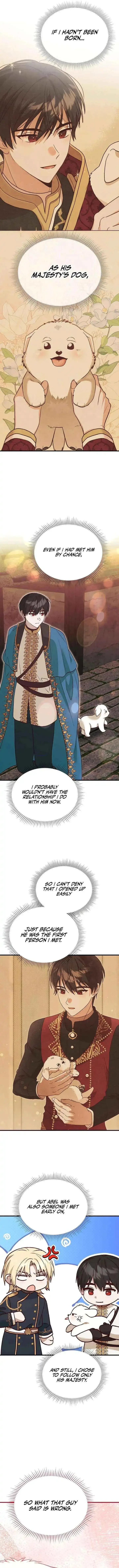 The Emperor's Dog Chapter 48 page 3