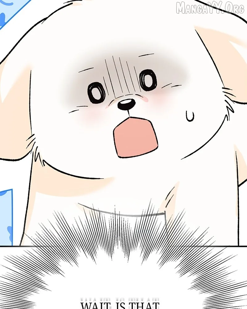 The Emperor's Dog Chapter 56 page 72