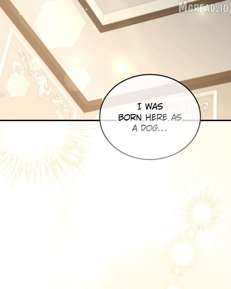 The Emperor's Dog Chapter 62 page 135