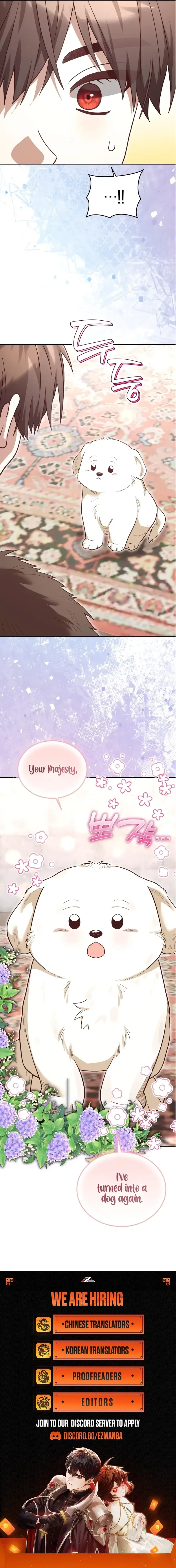 The Emperor’s Puppy Chapter 39 page 11