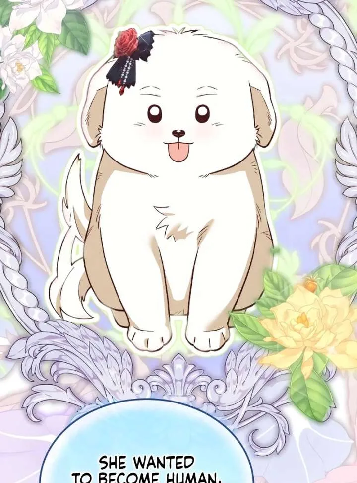 The Emperor’s Puppy Chapter 42 page 30