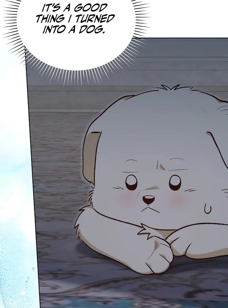 The Emperor’s Puppy Chapter 45 page 18