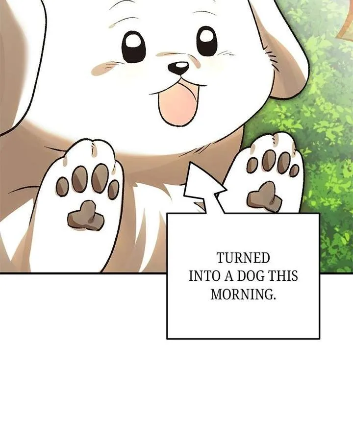 The Emperor’s Puppy Chapter 52 page 73