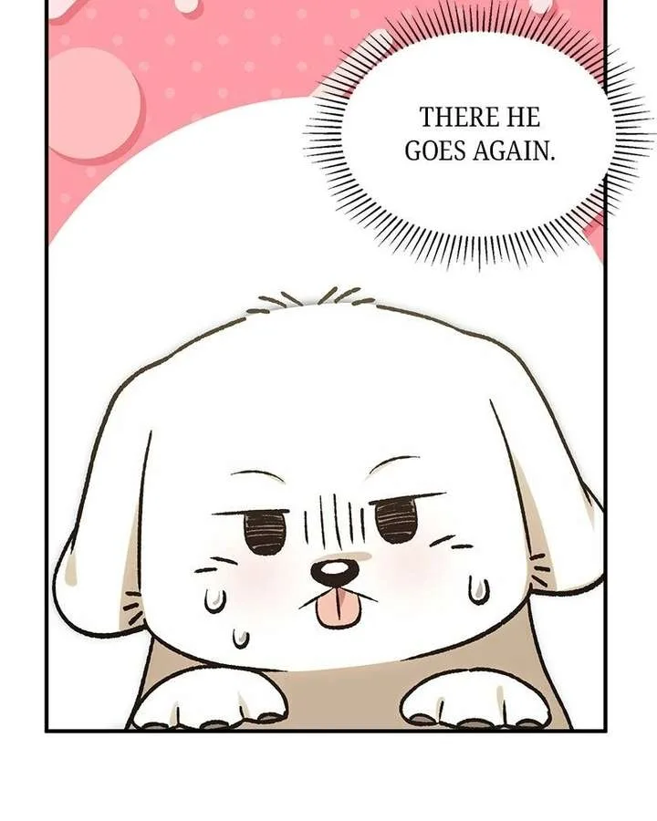 The Emperor’s Puppy Chapter 52 page 81