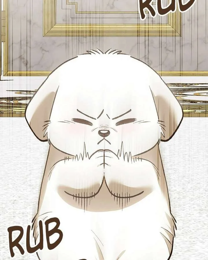 The Emperor’s Puppy Chapter 53 page 72