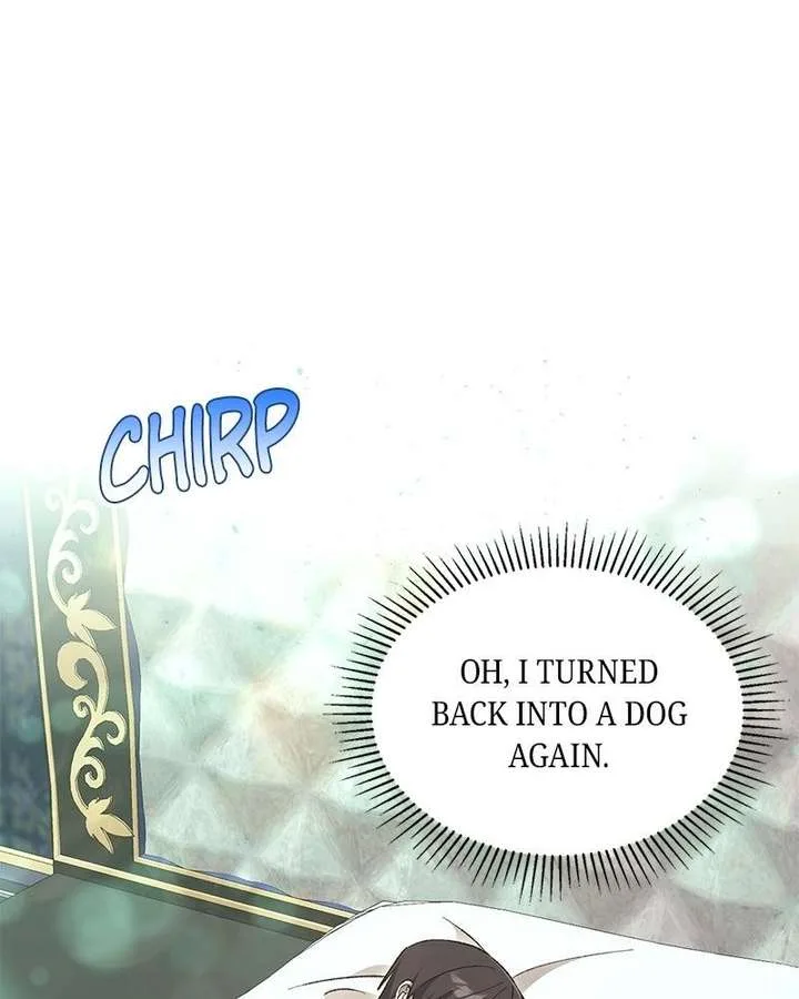 The Emperor’s Puppy Chapter 54 page 150