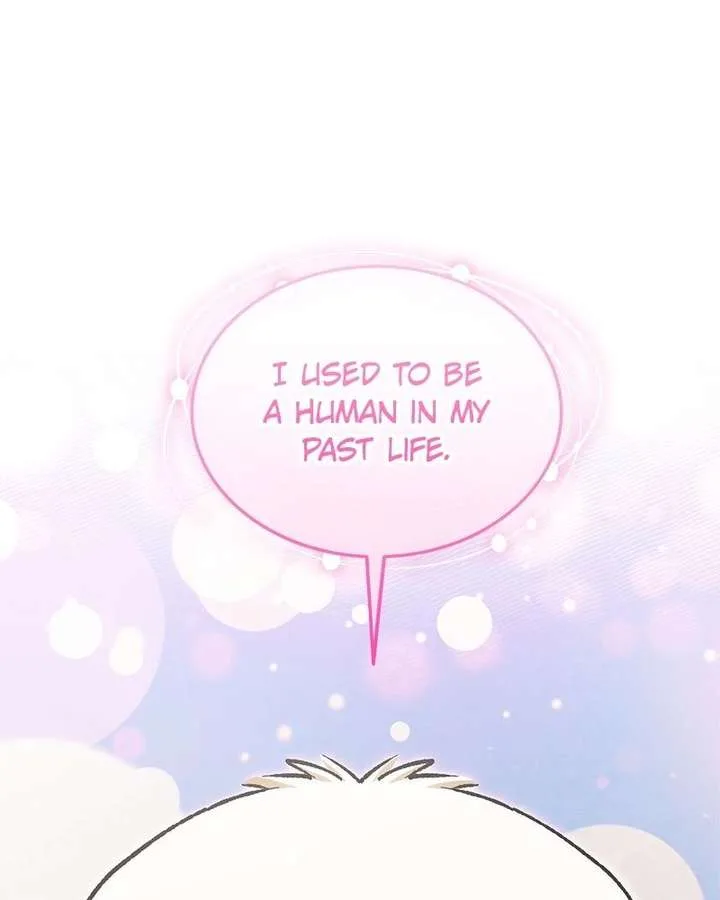 The Emperor’s Puppy Chapter 55 page 108