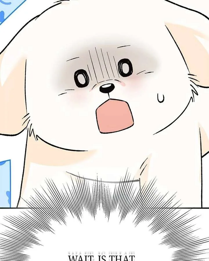The Emperor’s Puppy Chapter 56 page 72