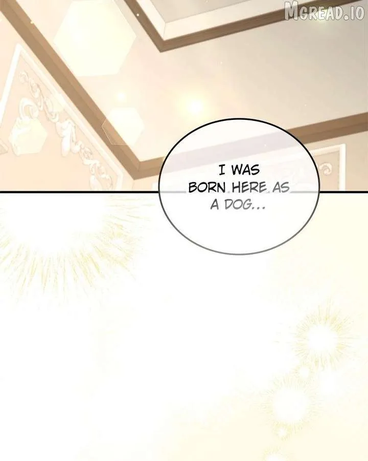 The Emperor’s Puppy Chapter 62 page 135