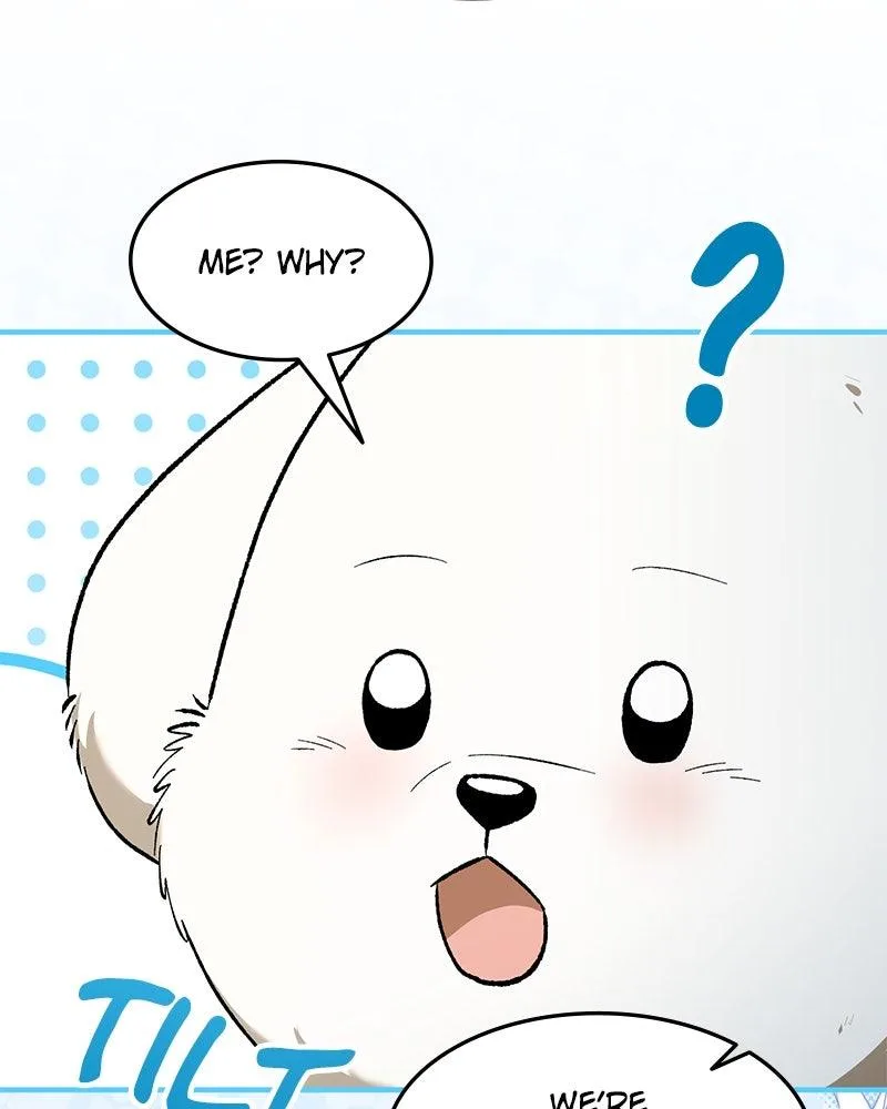 The Emperor’s Puppy Chapter 77 page 45