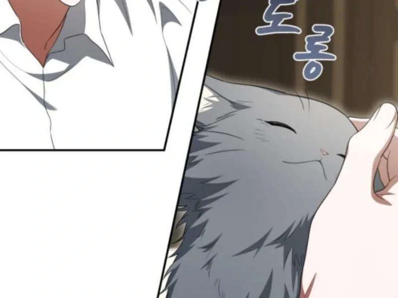 The End of the Contract Marriage Chapter 19 page 22
