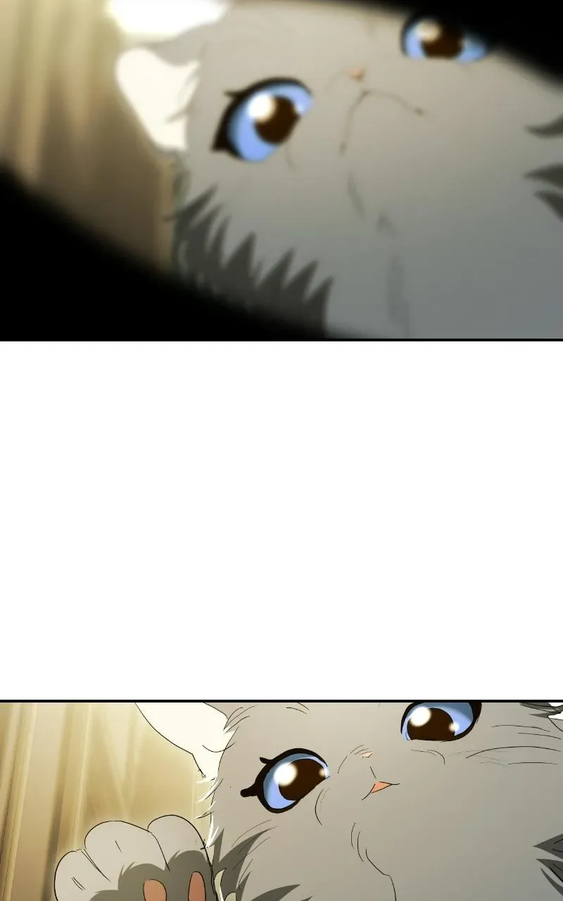 The End of the Contract Marriage Chapter 43 page 113