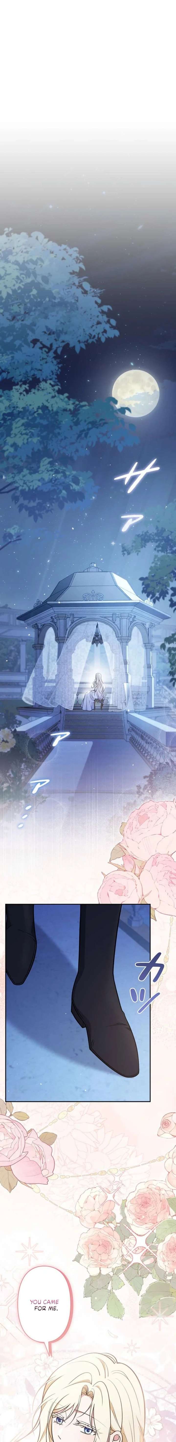 The Enemy King’s Substitute Bride Chapter 17 page 9
