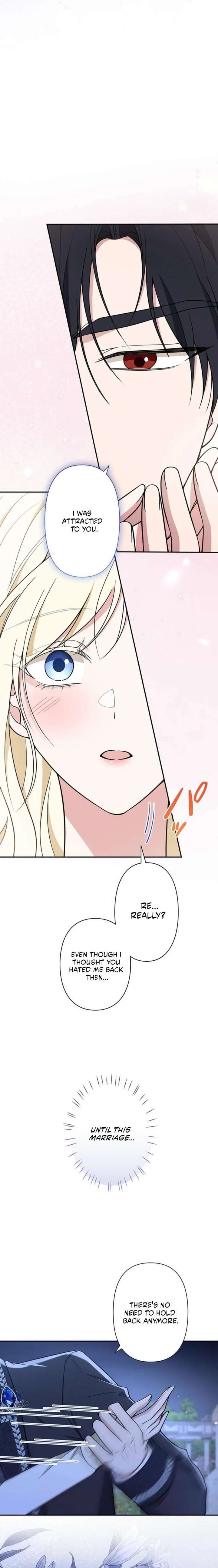 The Enemy King’s Substitute Bride Chapter 17 page 27