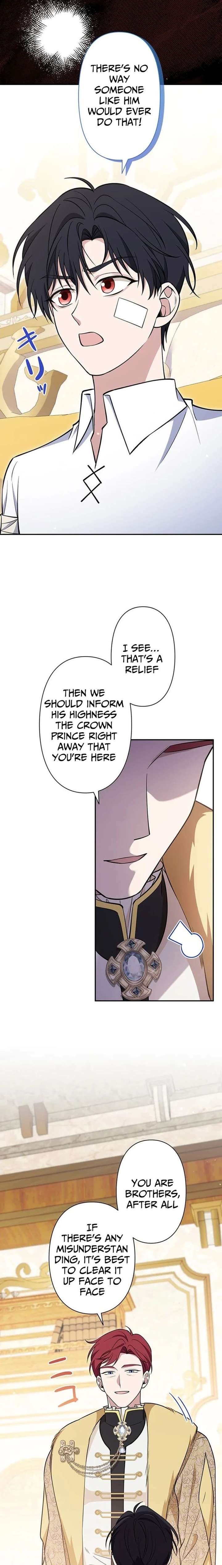 The Enemy King’s Substitute Bride Chapter 26 page 18