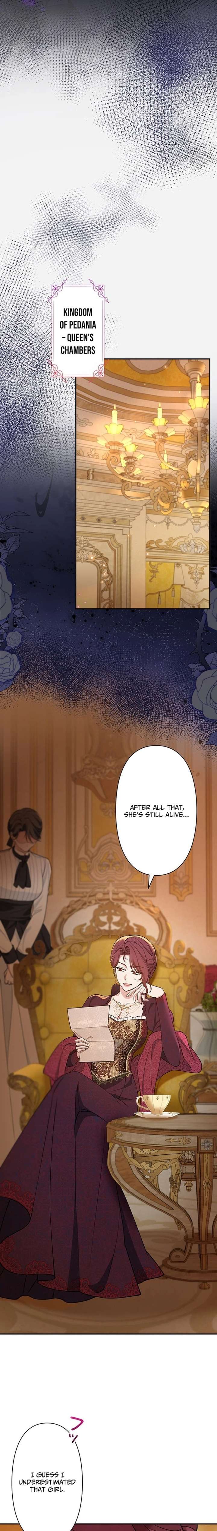 The Enemy King’s Substitute Bride Chapter 28 page 29