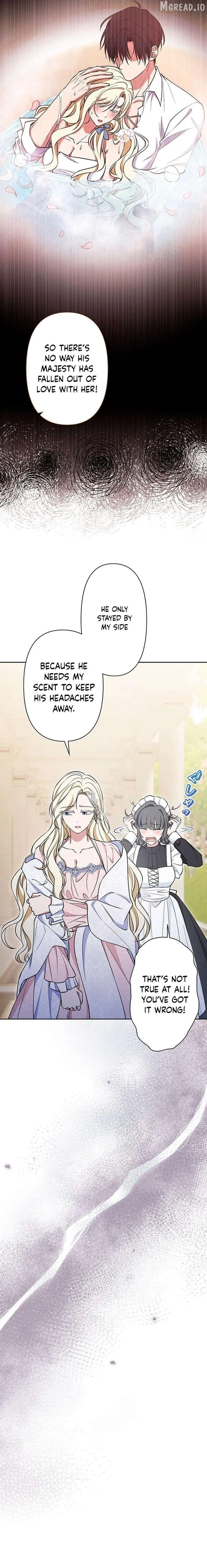The Enemy King’s Substitute Bride Chapter 36 page 18