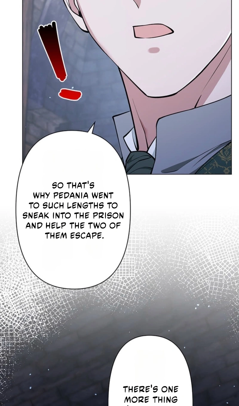 The Enemy King’s Substitute Bride Chapter 46 page 3