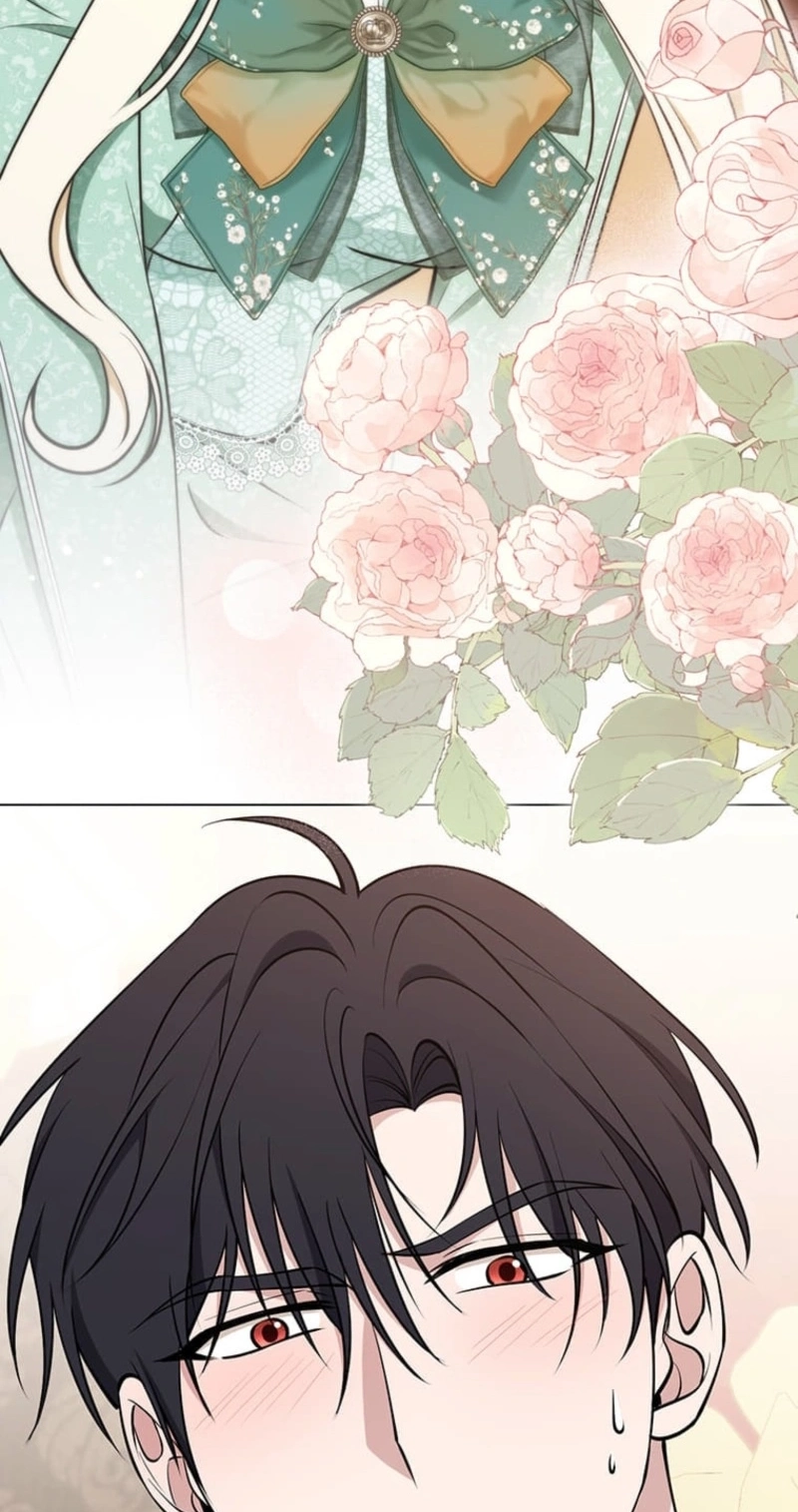The Enemy King’s Substitute Bride Chapter 46 page 28